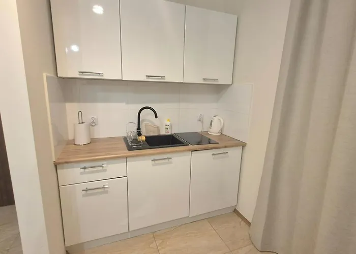 Topolowa Apartament Z Klimatem- Topolowa/Rynek/Pkp